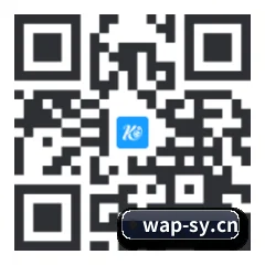 系统版 iOS 二维码